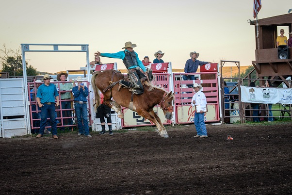 Activities Calendar 1 Events At Hart Ranch Camping Resort Club