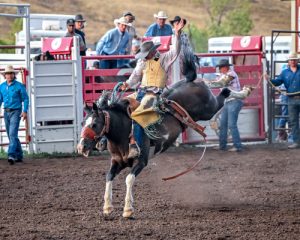 Black Hills Summer Events You Can’t Miss 2 Wild West Wednesdays - Summer Events At Hart Ranch